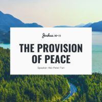 the provision of peace