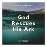 god rescues his ark