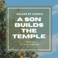 A Son Builds The Temple